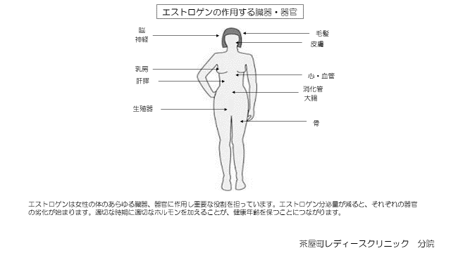 女性ホルモン専門外来 茶屋町レディースクリニック分院